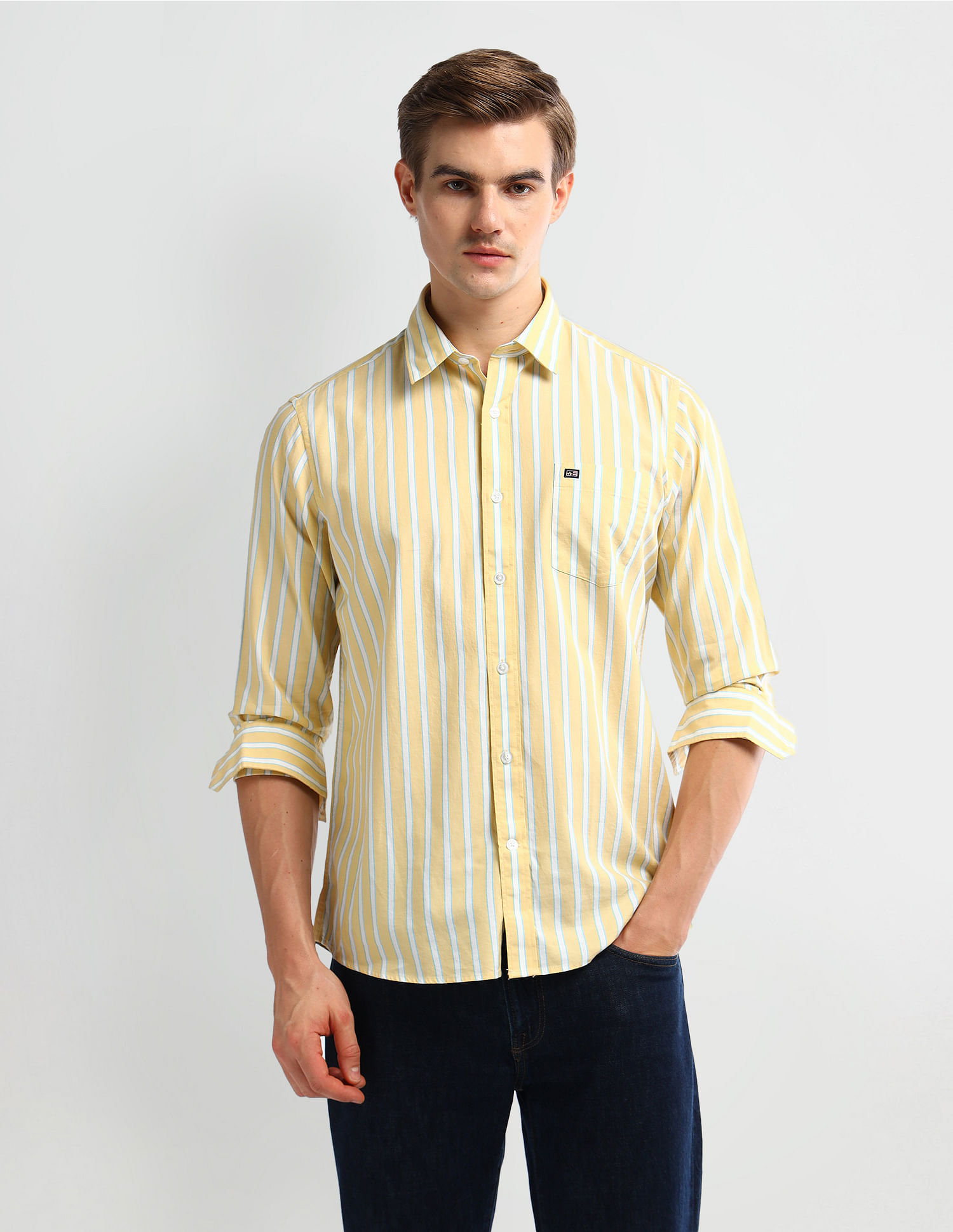 Arrow Sport Vertical Stripe Cotton Shirt