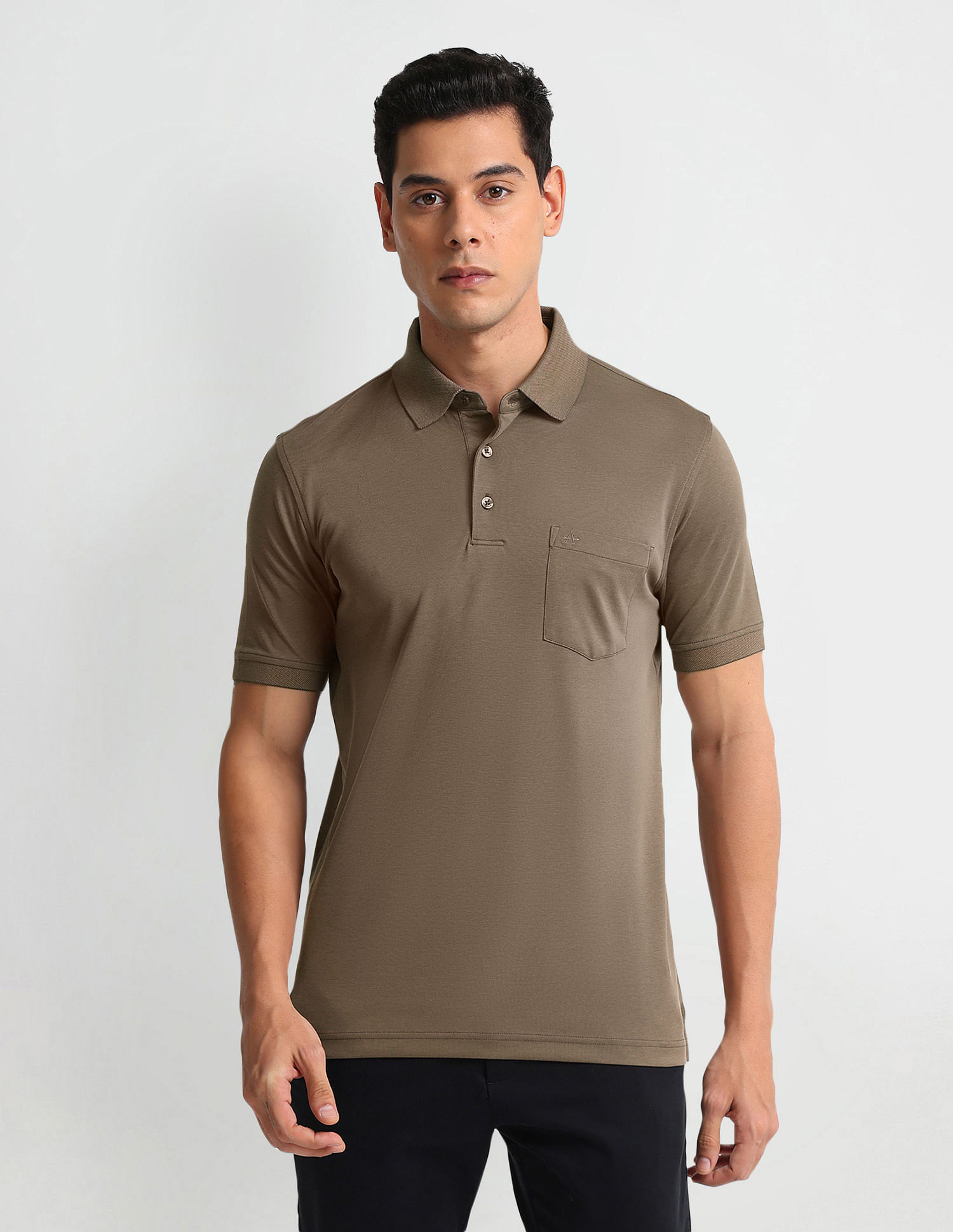 Arrow Regular Fit Solid Polo Shirt