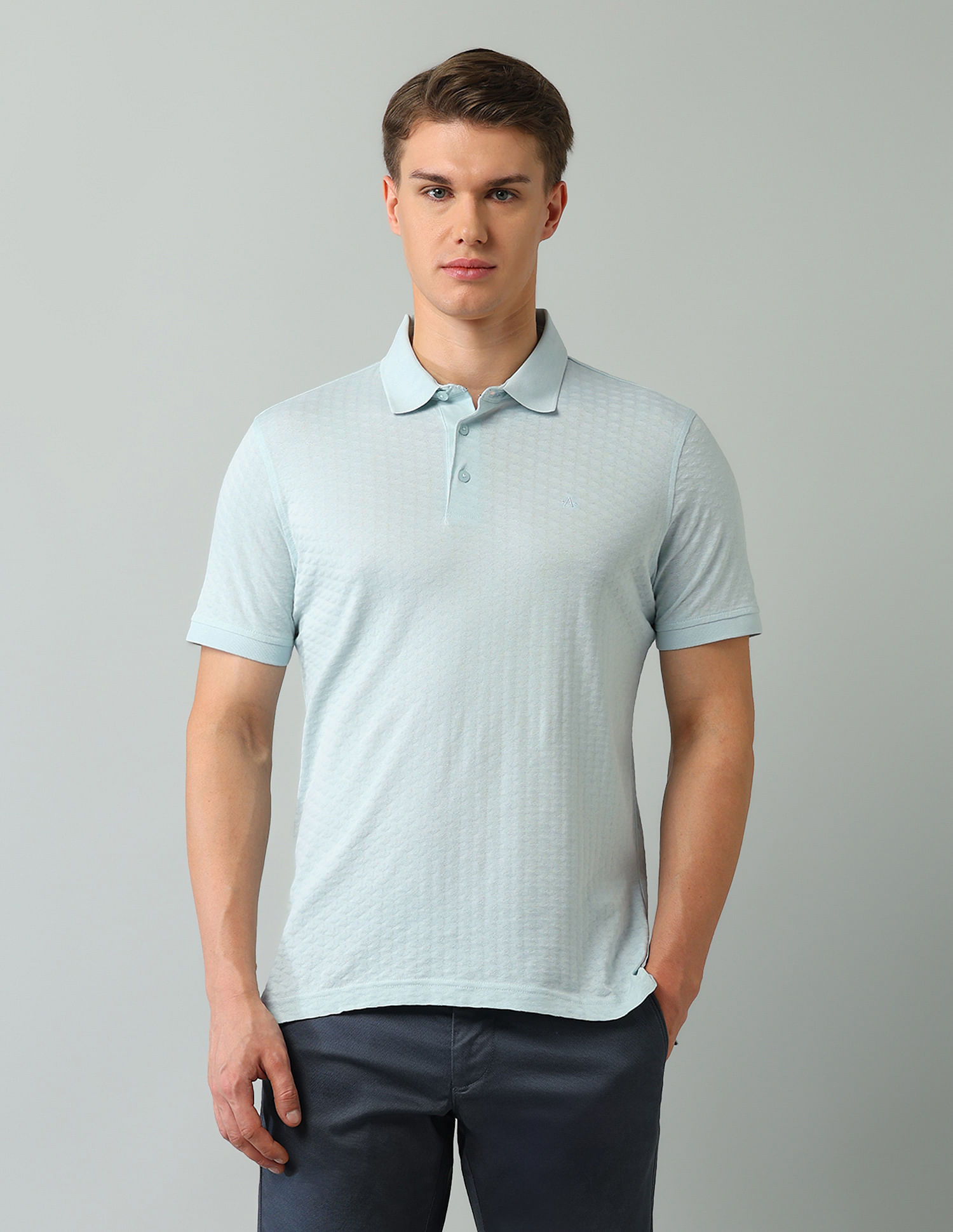 Arrow Regular Fit Textured Polo Shirt