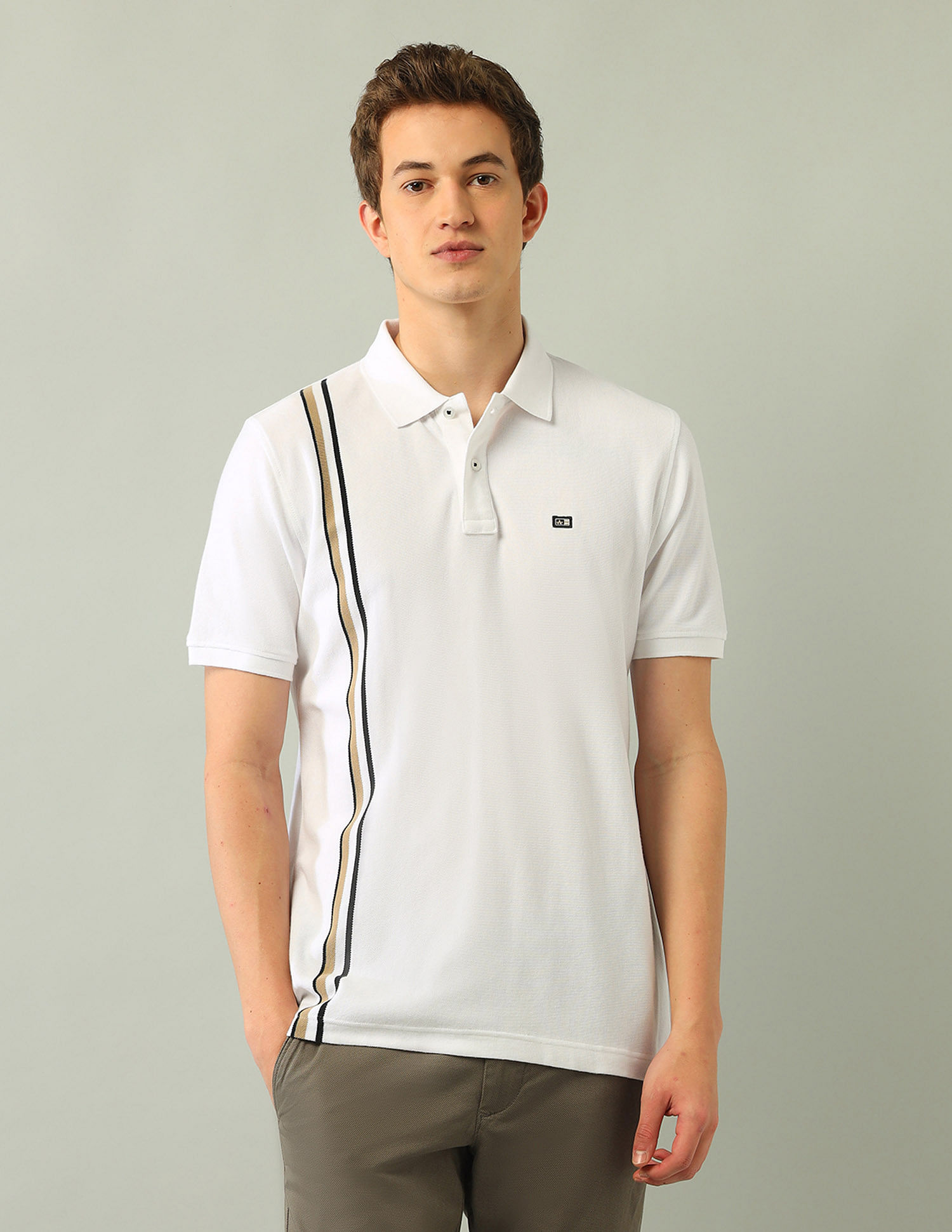 Arrow Sport Vertical Striped Regular Fit Polo Shirt