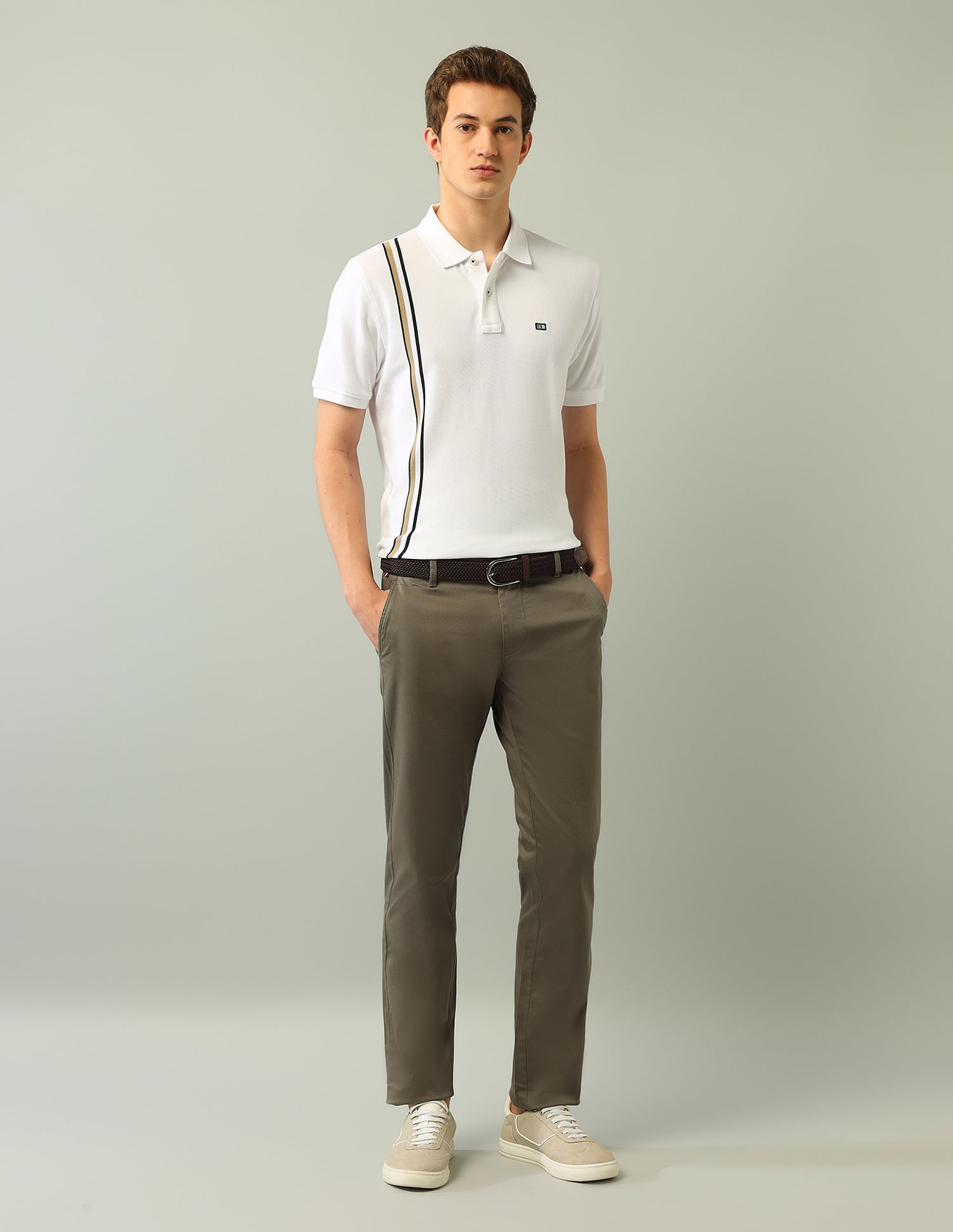 Arrow Sport Vertical Striped Regular Fit Polo Shirt