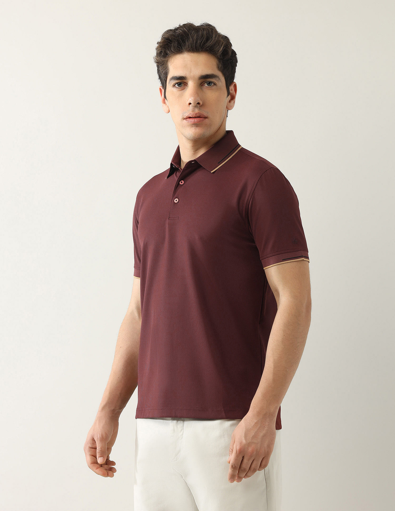 Arrow Textured Regular Fit Polo Shirt
