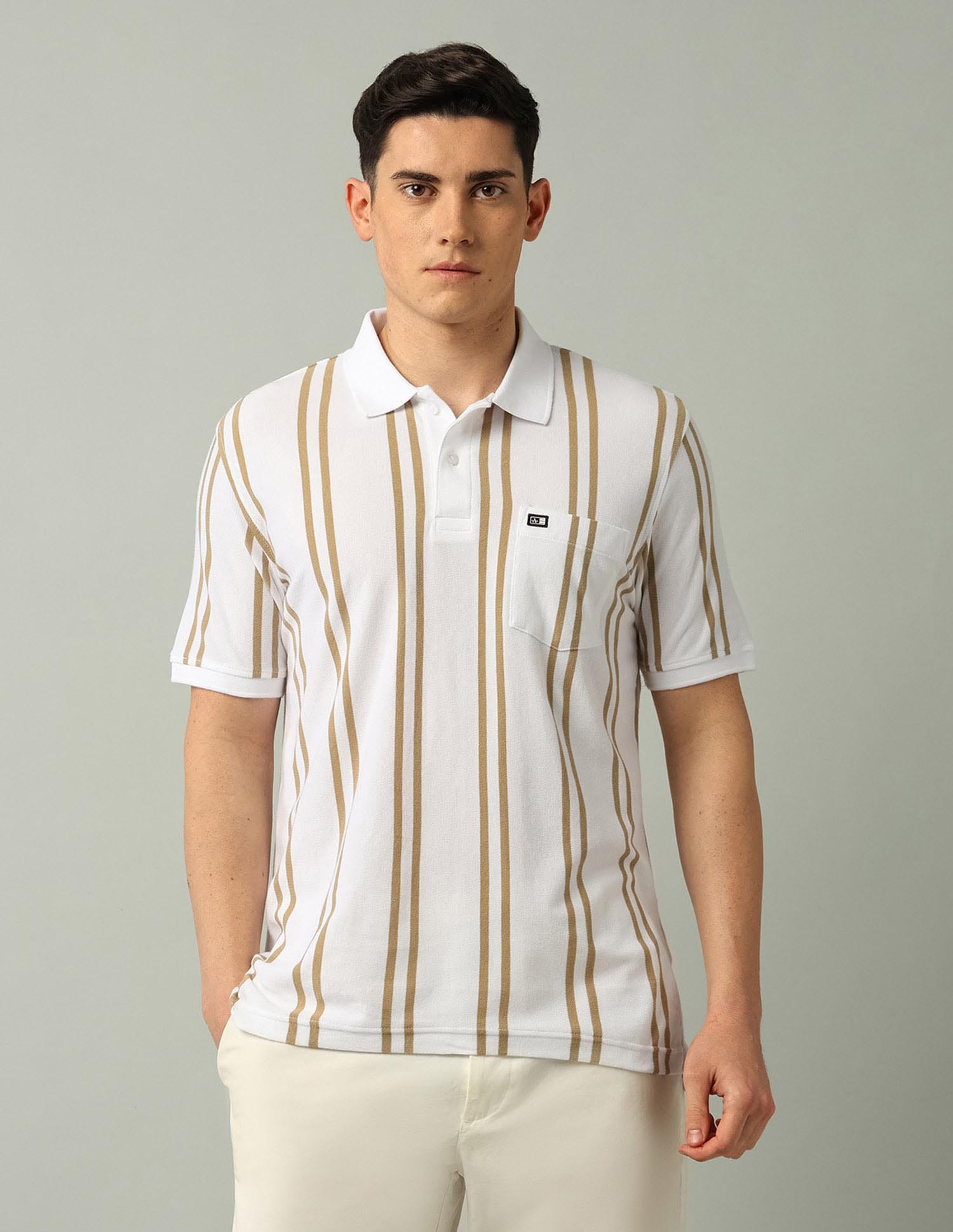 Buy Arrow Sport Vertical Striped Pure Cotton Polo Shirt - NNNOW.com