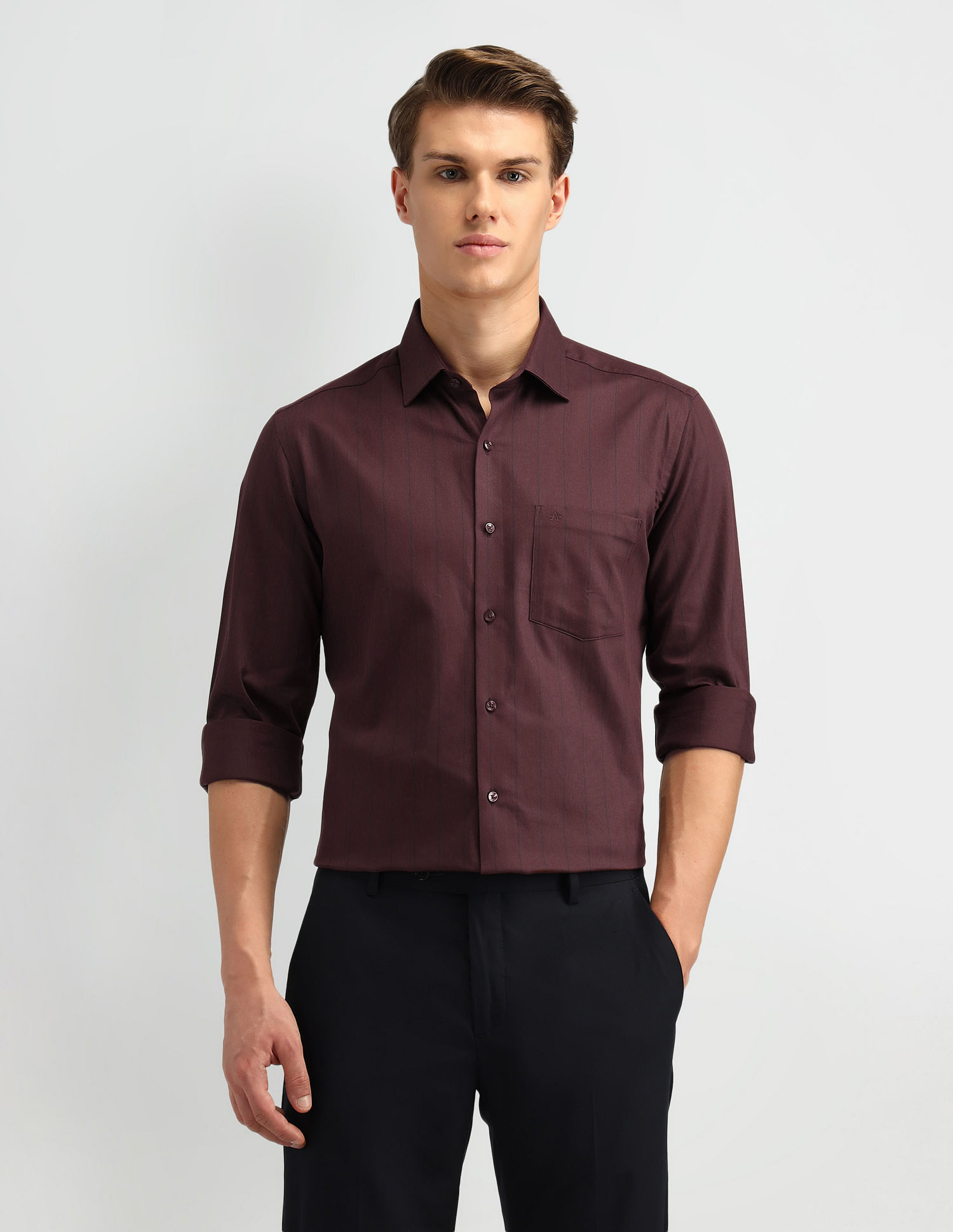 Arrow Slim Fit Vertical Striped Shirt