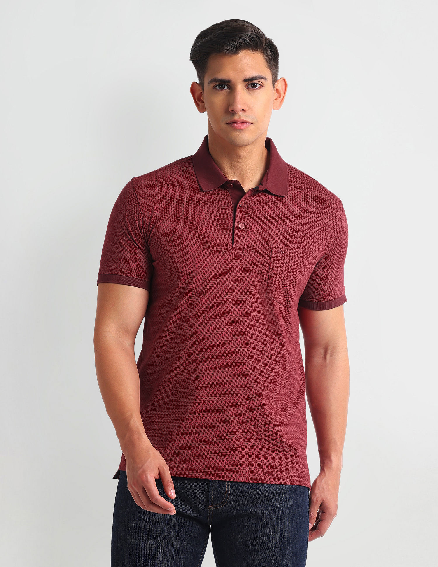 Arrow Regular Fit Cotton Polo Shirt