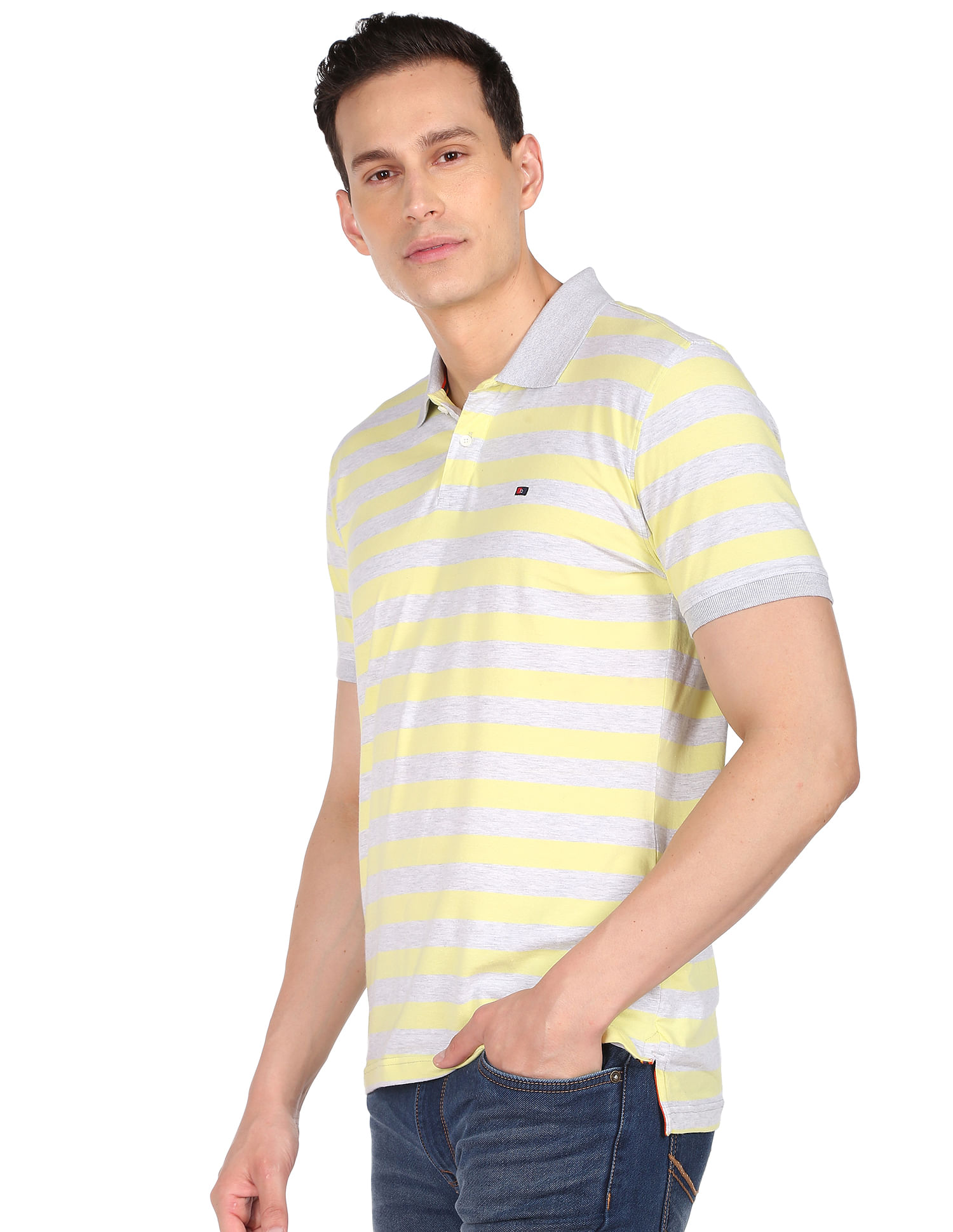 AD by Arvind Horizontal Stripe Heathered Polo Shirt