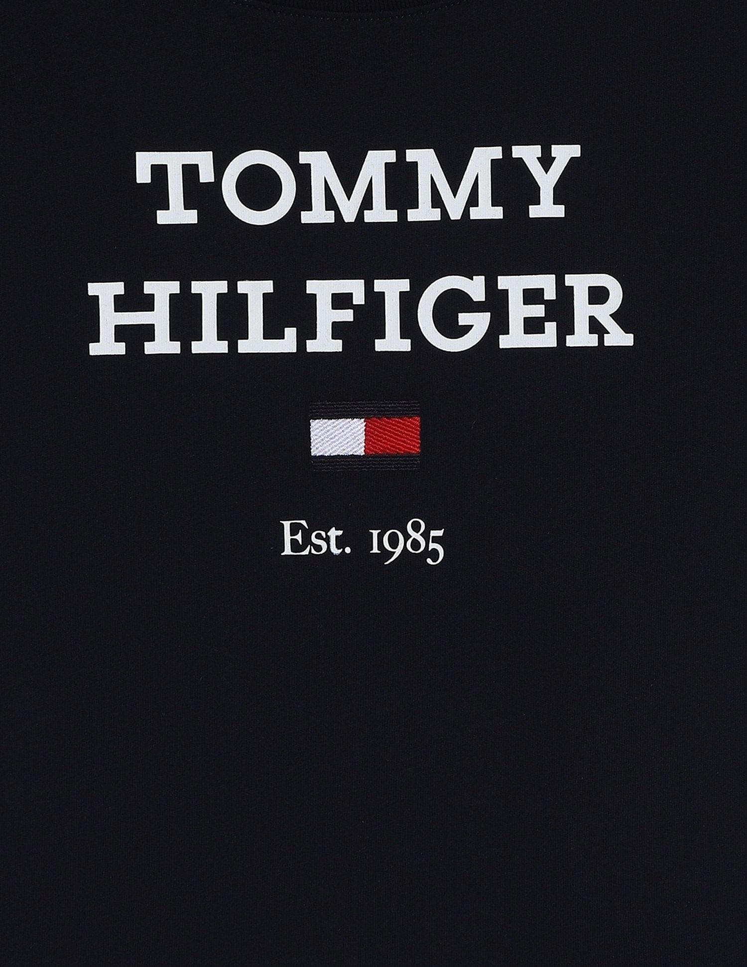 Tommy Hilfiger Boys Blue Logo T-Shirt