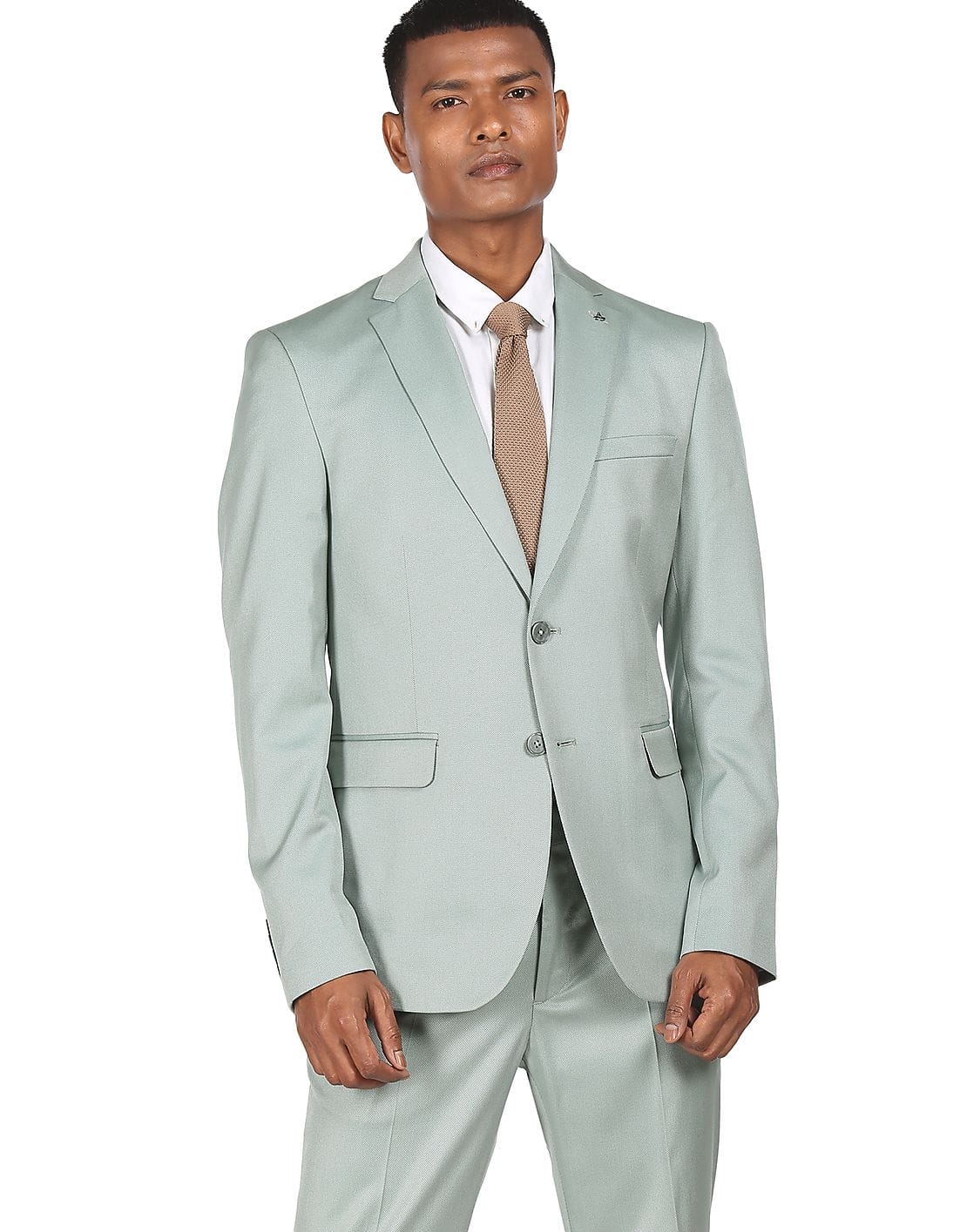 Buy Arrow Men Light Green Tailored 