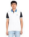 AD by Arvind Cotton Colour Block Polo Shirt