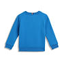 Tommy Hilfiger Kids Boys Flag Graphic Sweatshirt