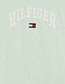 Tommy Hilfiger Kids Boys Logo Relaxed-Fit Cotton T-Shirt