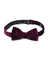 Arrow Men Pre Tied Velvet Bow