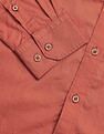 Arrow Sport Solid Pure Cotton Tailored Fit Shirt