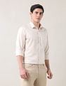 Arrow Pure Cotton Autopress Shirt