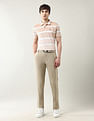 Arrow Sport Regular Fit Spring Sorbet Polo Shirt