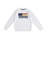 U.S. Polo Assn. Kids Boys Printed Regular Fit Sweater