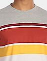 Aeropostale Men Multi Colour Crew Neck Striped T-Shirt
