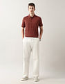 Arrow Textured Regular Fit Polo Shirt