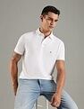 Tommy Hilfiger Solid Regular Fit Cotton Polo T-Shirt