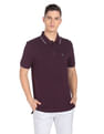 Arrow Sports Tipped Collar Solid Polo Shirt