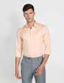 Arrow Auto Press Vertical Stripe Shirt