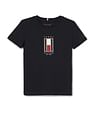 Tommy Hilfiger Kids Boys Flag Embroidered Regular T-Shirt