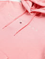 Tommy Hilfiger Linear Hooded Sweatshirt
