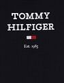 Tommy Hilfiger Boys Blue Logo T-Shirt